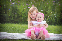 Wagner Wildflower Mini for blog
