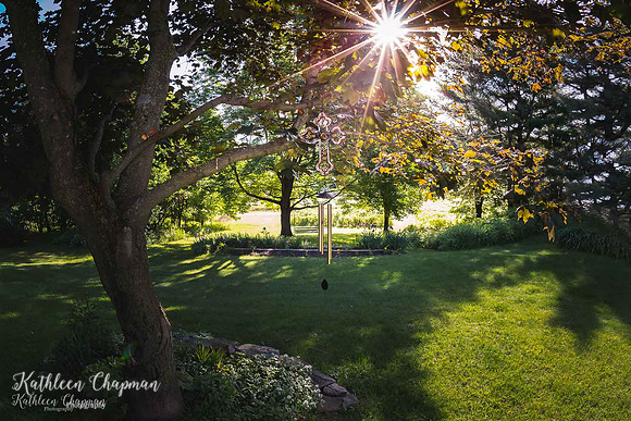 IMG_3425-Edit-7