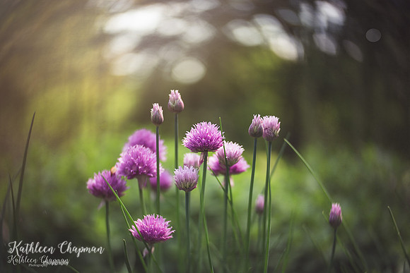 IMG_3358-Edit-3