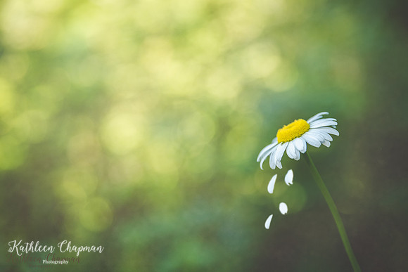 IMG_3818-Edit-3