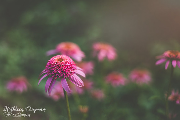 IMG_4354-Edit