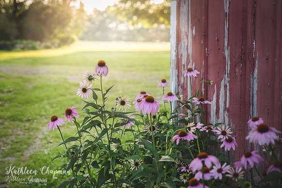 IMG_4624-Edit