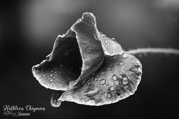 IMG_5440-Edit