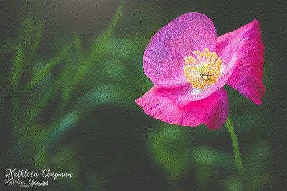 IMG_5986-Edit-2