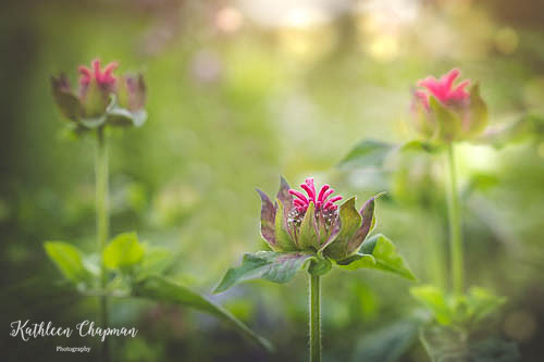 20210630-DSC01474-Edit