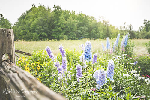 20210701-DSC01656-Edit