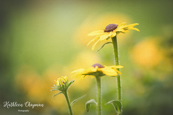20210703-DSC01823-Edit