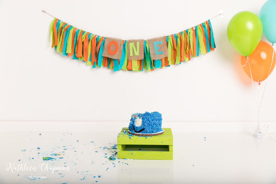 first birthday boy cake smash potsdam ny family photographer