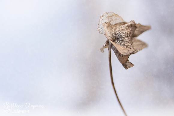 IMG_4858-Edit