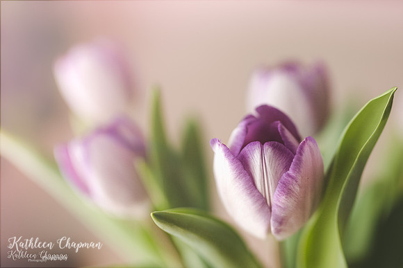 IMG_0073-Edit