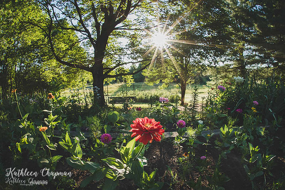 IMG_2194-Edit