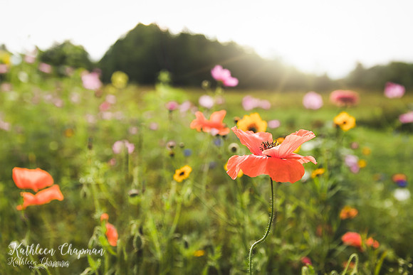 IMG_3191-Edit-Edit