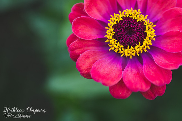 IMG_9206-Edit-2