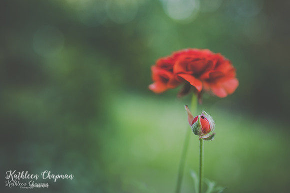IMG_9573-Edit