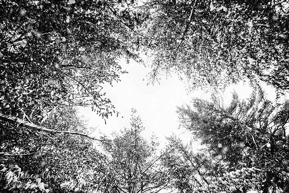IMG_2755-Edit