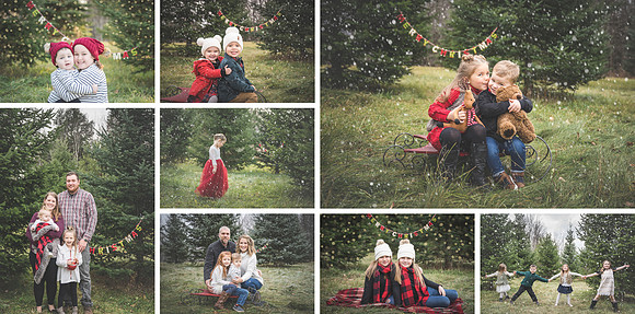 2021 Christmas Mini Sessions
