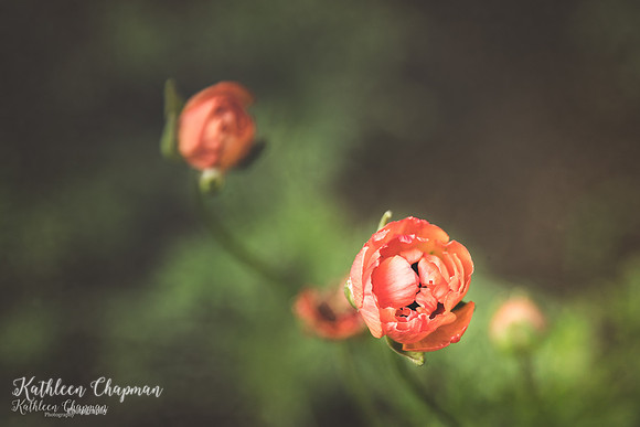 20180814-IMG_1647-Edit
