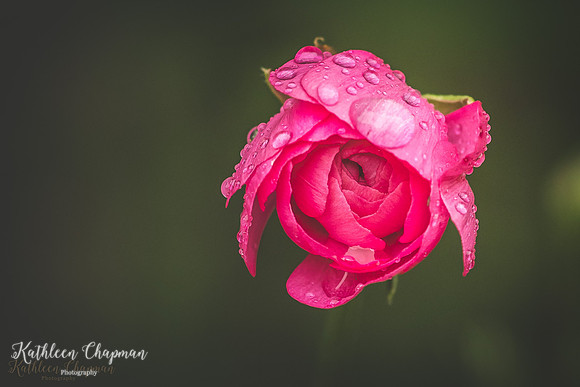 20190807-2L6A3328