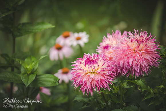 20190807-2L6A3398-Edit