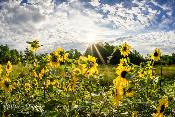 20200814-KCP06527-HDR