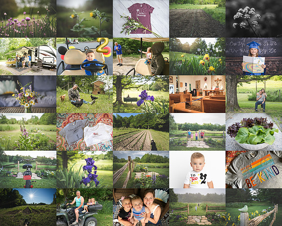 06 June 366 Grid