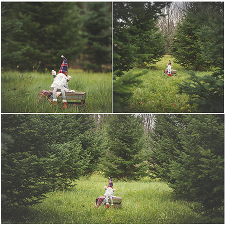 Pine Trees CM 2020
